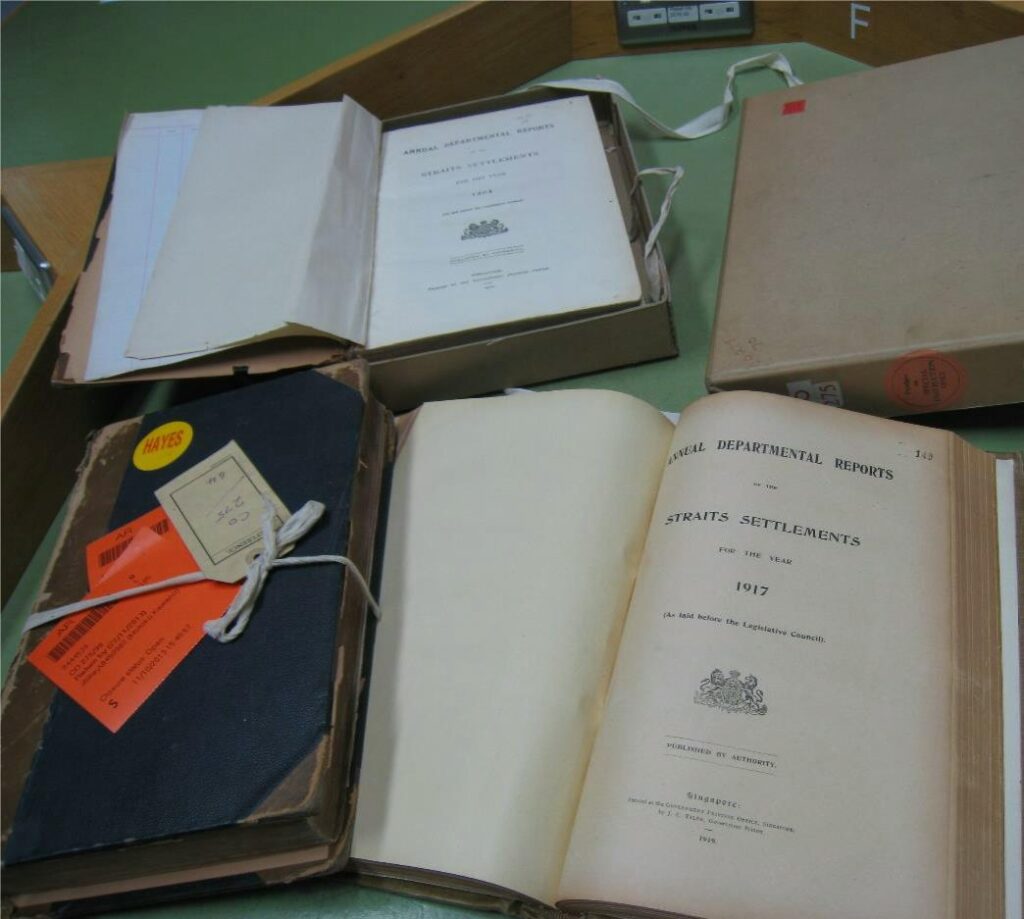 Photo 1: Annual Reports of the Straits Settlements for the year of 1917, National Archives, London, UK