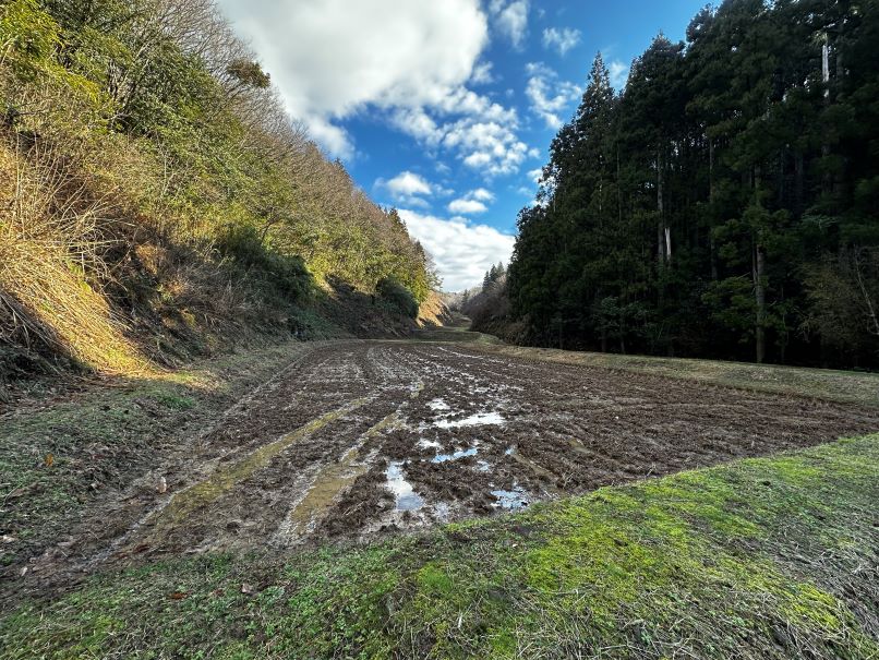 山を削って砂金を採集した跡地の棚田（佐渡島・世界農業遺産サイト）